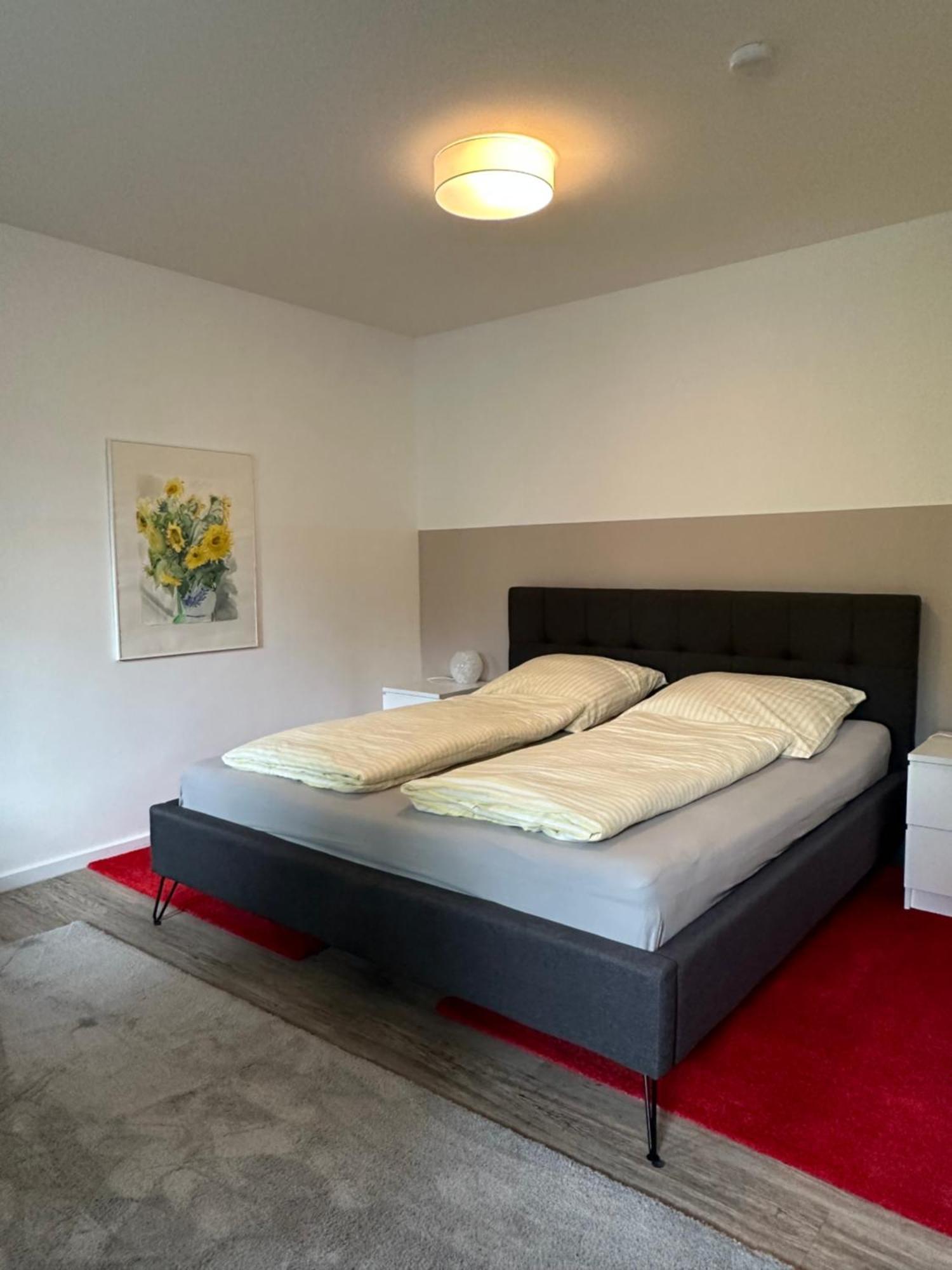 Am Kleinen Muehlenteich - Zentrale Ruhige Lage Mit Parkplatz Und Fahrraedern Apartment Flensburg Luaran gambar